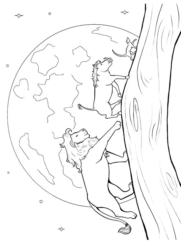 Coloring page Lion KIng 2019 Rimon Pumbaa Simba 2